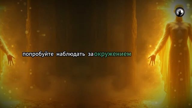 1000022334.mp4