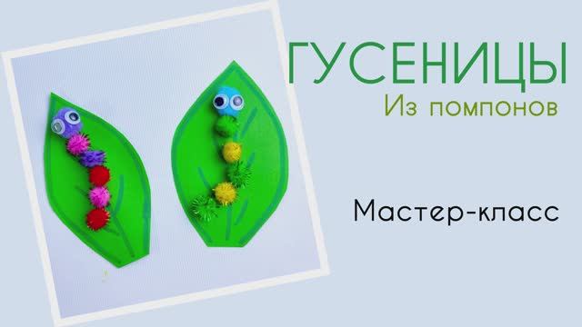 Мастер-класс поделка ГУСЕНИЦЫ. Набор "12 поделок" от бренда "Палки-Выручалки"