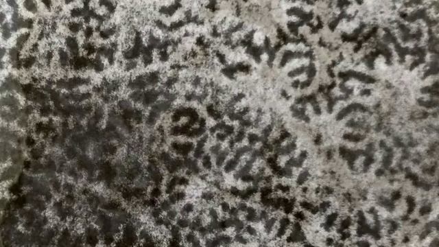 "Перспективные монстры" или?..