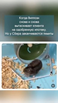 Продолжаем работать с ипотекой! #загородныйдом #стройка #виллозихаус