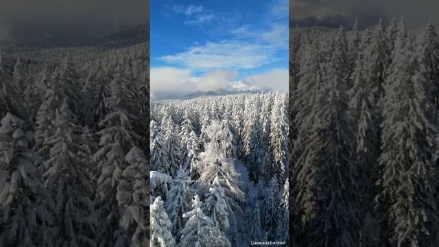 "Жизнь идёт"- Очищающая, Гармонизирующая, Целительная, Потоковая авторская композиция.