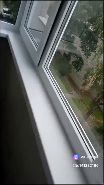 1000011560.mp4