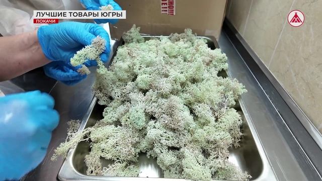 Покачёвский предприниматель готовится к конкурсу