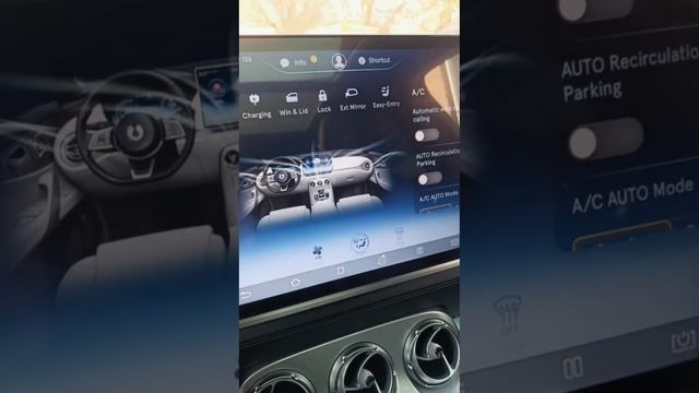 Эксклюзивная Denza X, от Mercedes-Benz и BYD auto