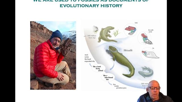 Molecules as documents of evolutionary history