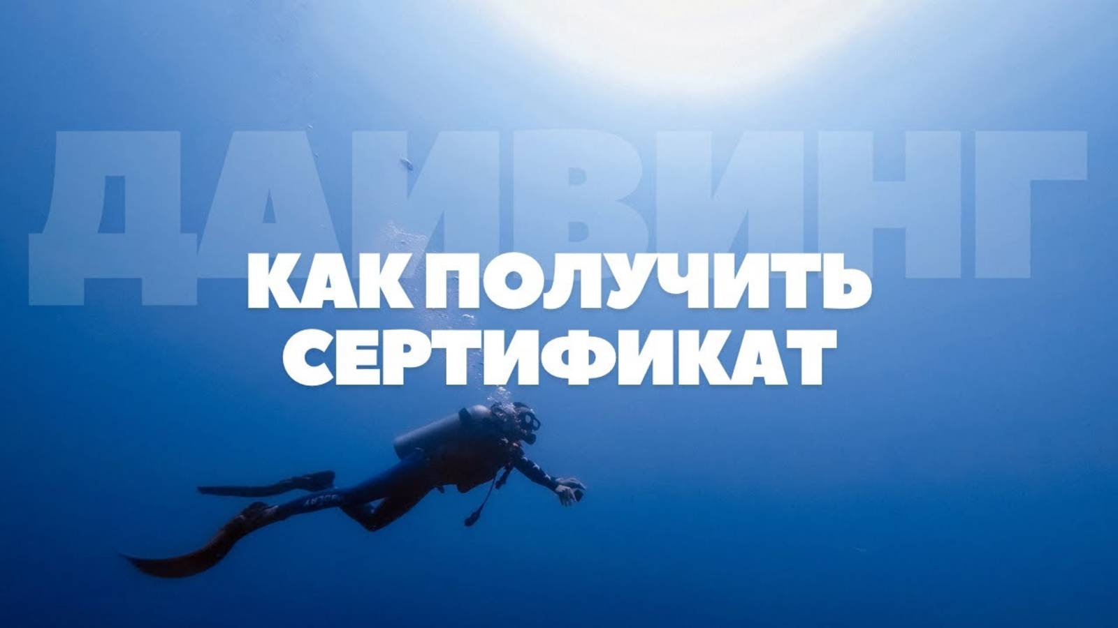 Получаем международный сертификат дайвера NDL Diver