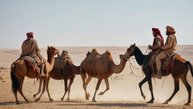 Почему африканские цивилизации отстали в развитии от остального мира
