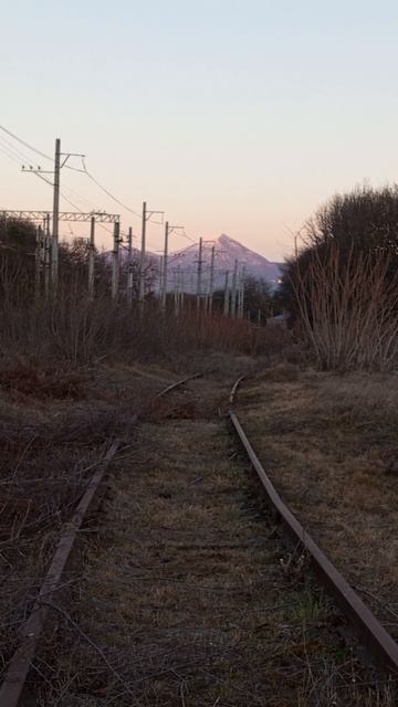 Красота издалека