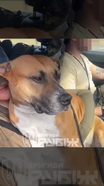 🤬 Бандеровская т***
Если она попадёт в плен, то помните, она не медик и не повар, она оператор Б