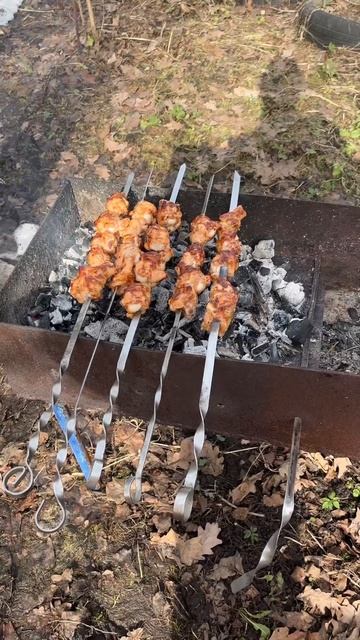 Шашлык #куриныйшашлык #природа #шашлык #отдых #дача #наприроде#shorts#еда #рецепт #food