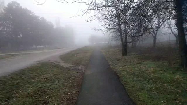 Иду в магазин и болтаю !Густой туман!Покупки ! Рассольник с тушёнкой!!!Юг России 🏝️!