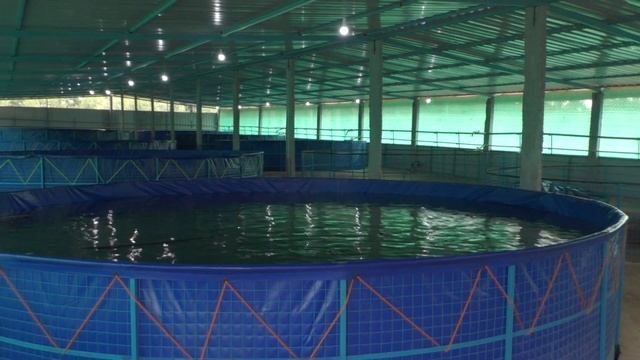 Complete Guidance Shed And  Biofloc Modular Tank Setup .Biofloc Fish Farming And  RAS Fish Farming