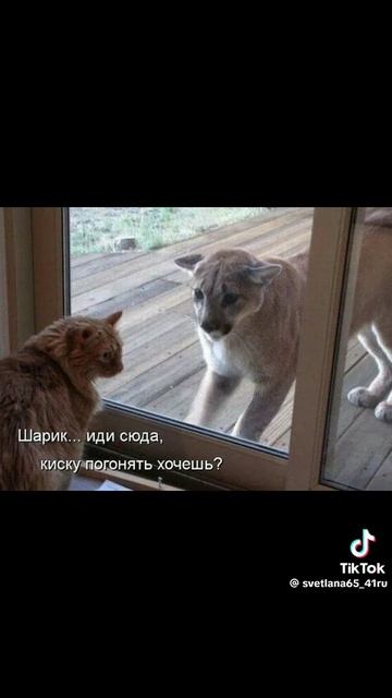 1000017517.mp4