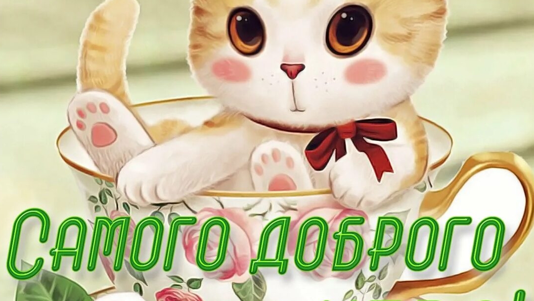 С Добрым утром подишики 71 💜❤️💙💚💖😁😇🙏