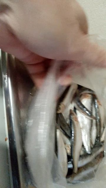 1000047269.mp4