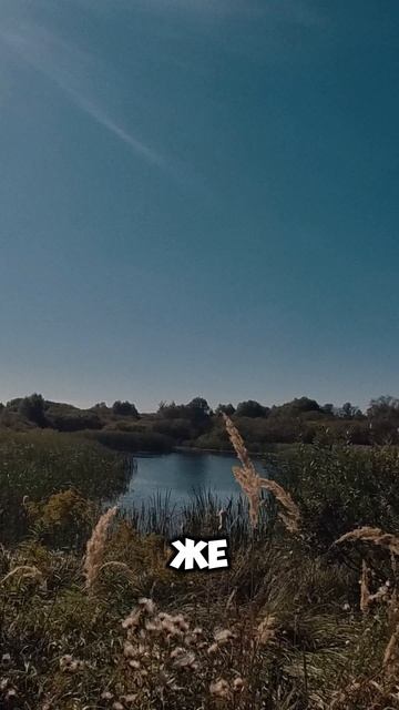 Любимые маршруты красивыми полями на электрофэтбайке Syccyba Impulse