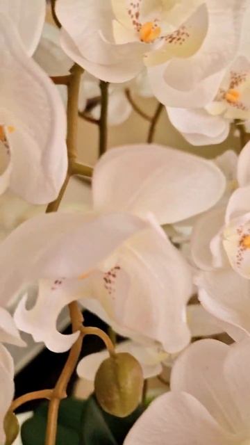 Композиция в крупной вазе с искусственными орхидеями, наполненная корой и мхом.18000 Доставка по РФ