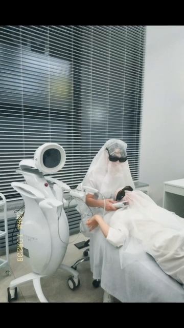 24 октября 2024 г.