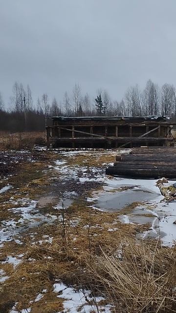 2-й год стройки (расконсервация сруба)