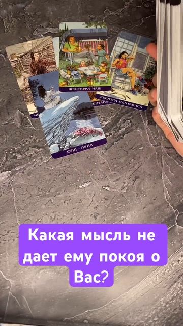 12 ноября 2023 г.