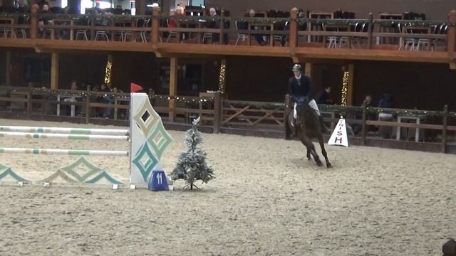 Plain Jane Jumping Lier 5 jarige paarden 11/01/2020