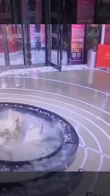 Тук-тук, кто в телефоне живёт? 😄👻😂
