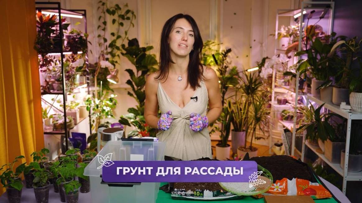 Советы по выбору правильного грунта для рассады 🌱