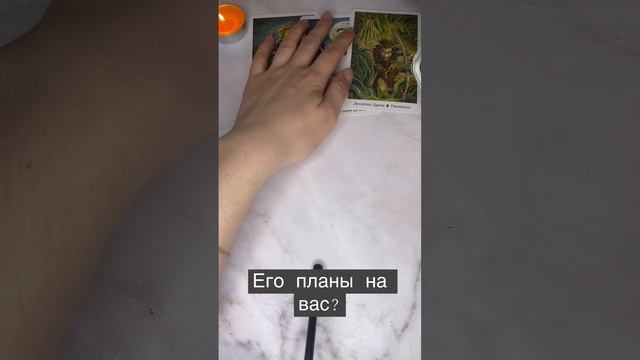 24 марта 2023 г.