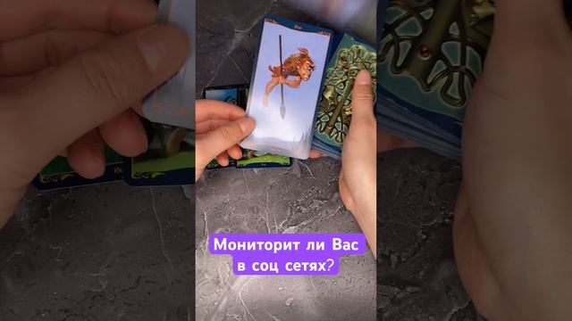 18 ноября 2023 г.