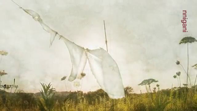 Adam Hurst - Waltz of Souls