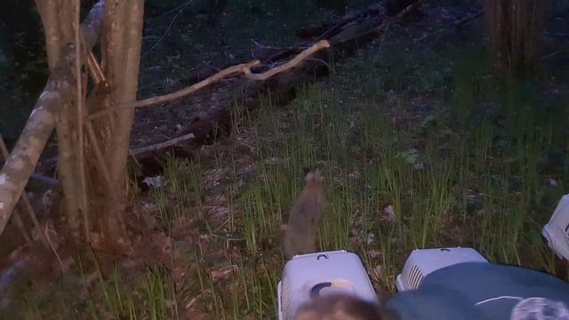 60 грамм Чудиков и Окунят