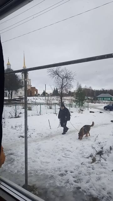17.01.25 деревенская тишь