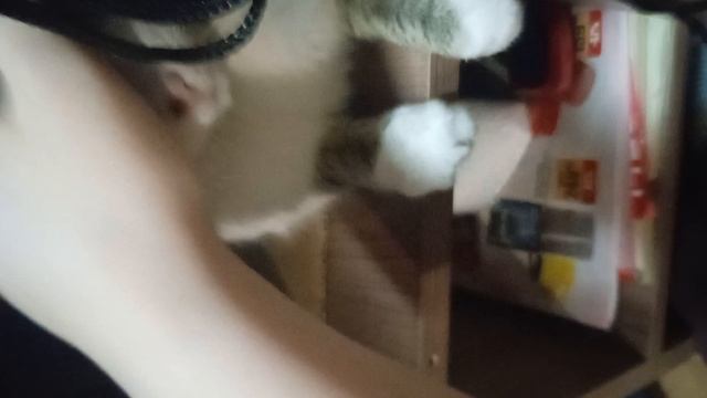 котик😼😼😼😼😼😼😼😼😼😼😼😼😼😼😼🙌🙌🙌👐👐😼😼😼😼😼😼😼😼😼😼😼😼😼😼😼😼😼😼😼😎