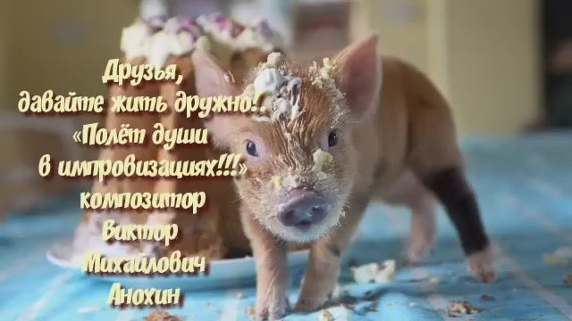 МУЗЫКА «Друзья, давайте жить дружно!» импровизация композитор Виктор Михайлович Анохин