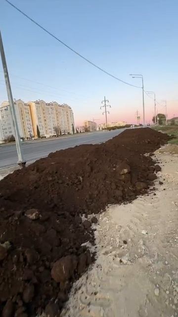 27.01.2025. Севастополь, проспект Столетовский. Выполняется привоз плодородного грунта для газонов.