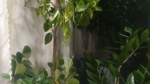 А была ли любовь