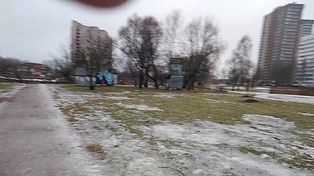 Голубиный патруль