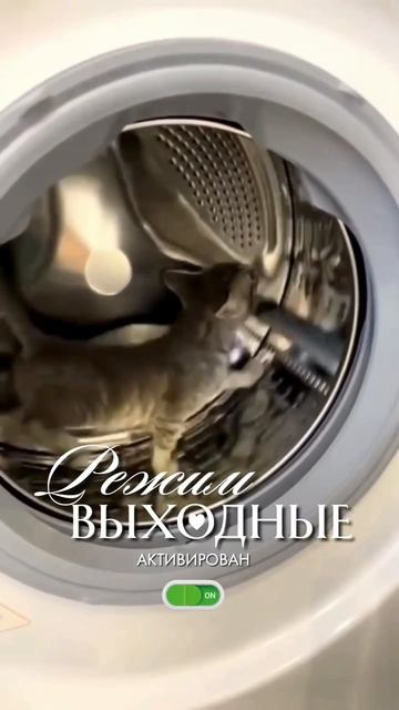Режим выходные.