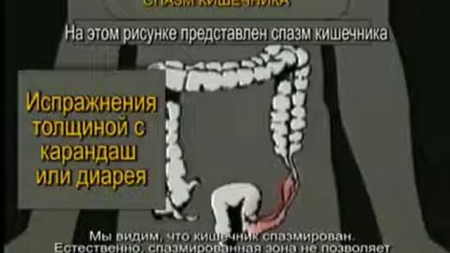 Кишечник и его влияние на здоровье.