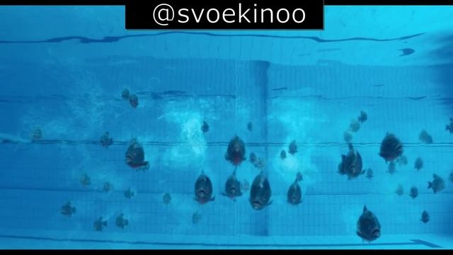 Покормишь ты рыбок в Крыму.....зеленский