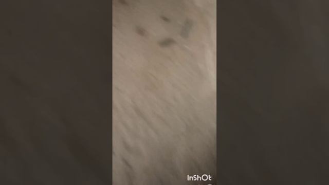 ХАНЖАР ВОСЕМЬ ПАБЕДА