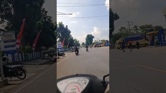 LIVE BAGI-BAGI CUPANG DI JALAN