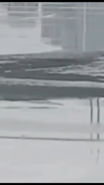 Москвичи продолжают гулять по тонкому льду на севере столицы