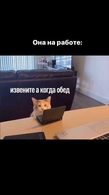 название придумаю потом