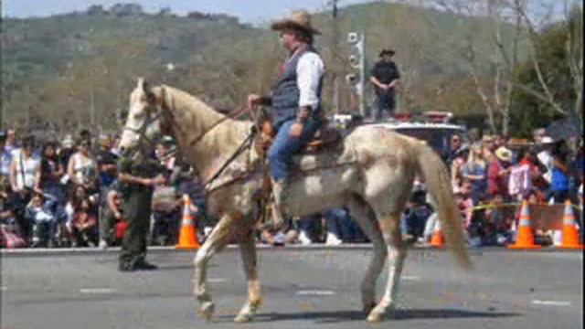 Swallows Parade - San Juan Capistrano - Beautiful Horses!