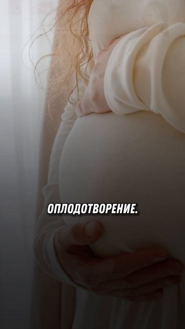 Как душа выбирает свой путь? ✨