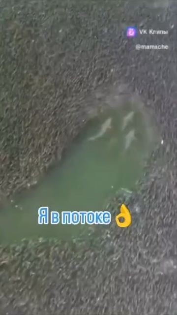 1000029163.mp4