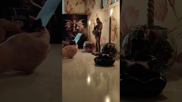 1000055617.mp4