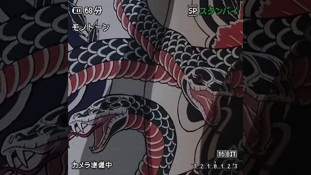 VID_20250127_222134_293