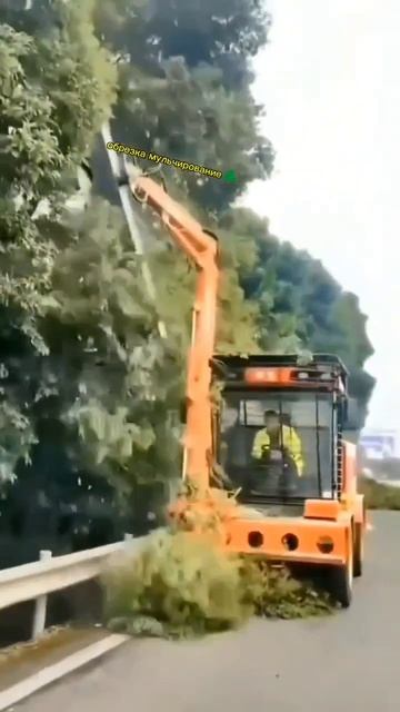 Подрезание деревьев🌳 обочины дороги 🚗, специальной техникой🚜